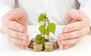 nurturing euro coins